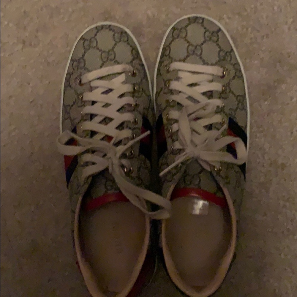 Gucci tennis